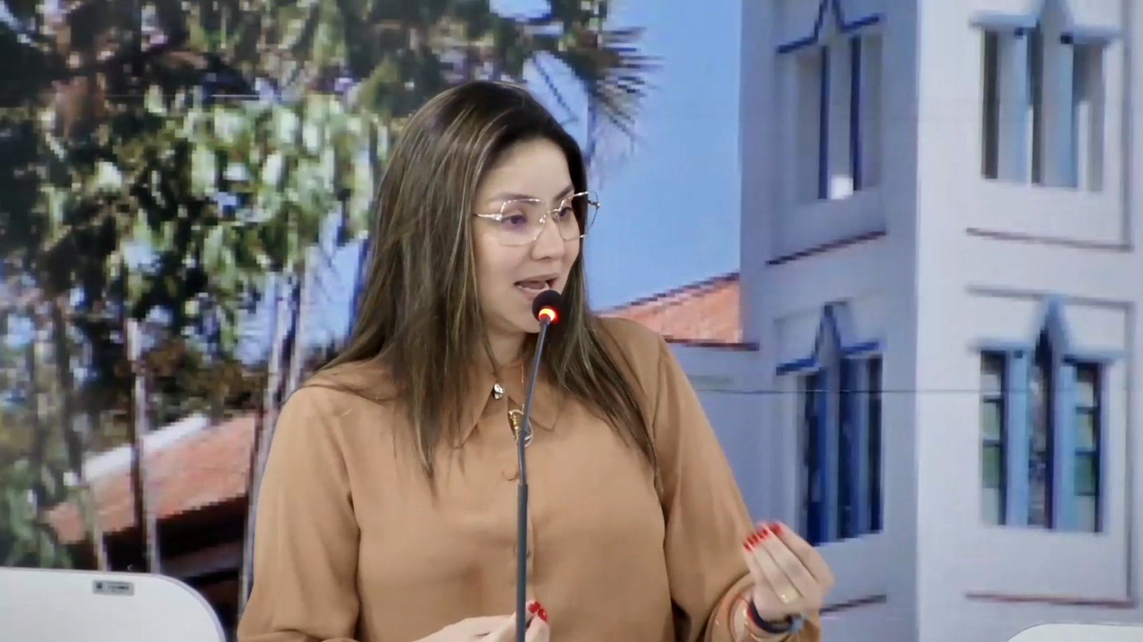 Câmara aprova indicações de Monnize em prol da Bojui